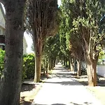 Ivago Sabunike 公寓 普利拉卡