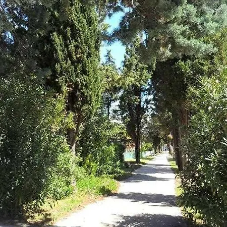 Ivago